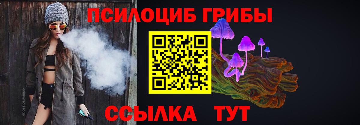 Псилоцибиновые грибы GOLDEN TEACHER  Вход с VPN  Егорьевск 