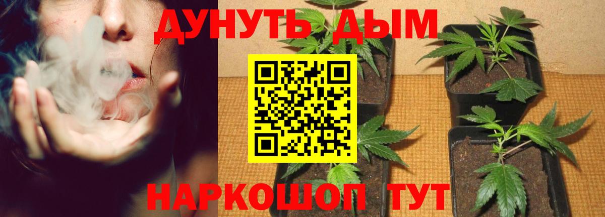 Канабис White Widow  Каннабис гибрид  Егорьевск  Марихуана семена  Вход с VPN 